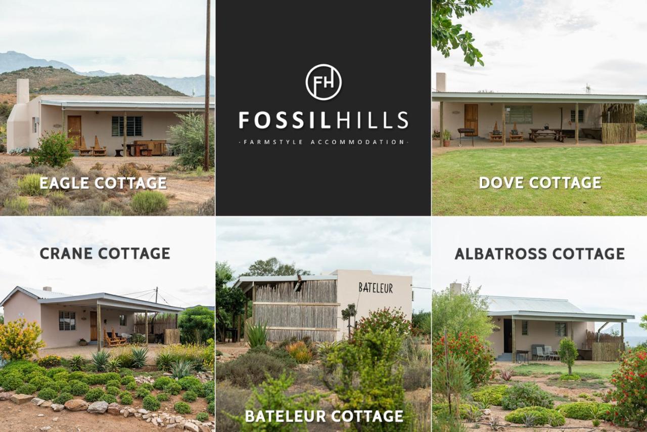 Fossil Hills Apartamento McGregor Exterior foto